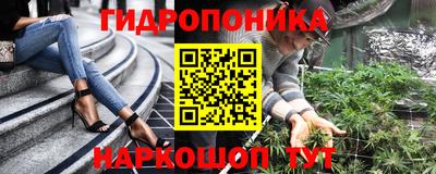 прущие грибы Лесосибирск
