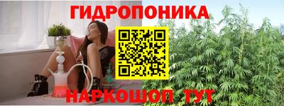 прущие грибы Лесосибирск