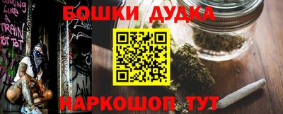 прущие грибы Лесосибирск