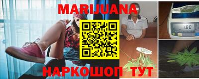 прущие грибы Лесосибирск