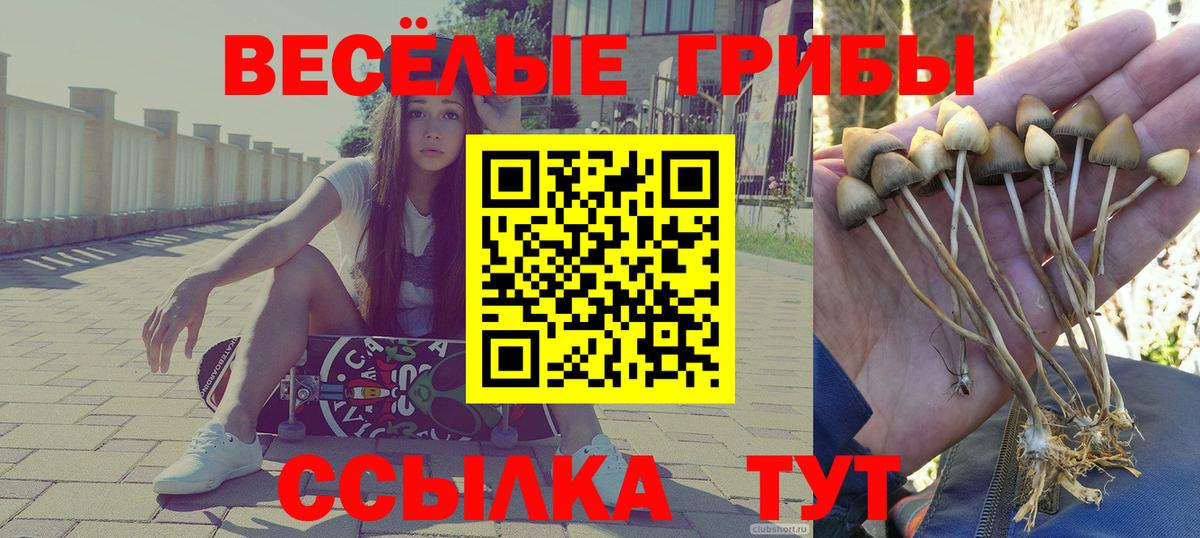 Псилоцибиновые грибы GOLDEN TEACHER  Вход с VPN  Выборг 