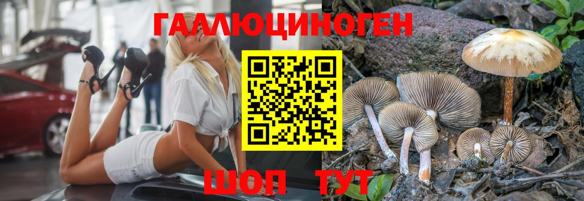 Псилоцибиновые грибы мухоморы Выборг